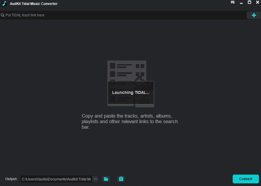 AudKit Tidizer Music Converter crack