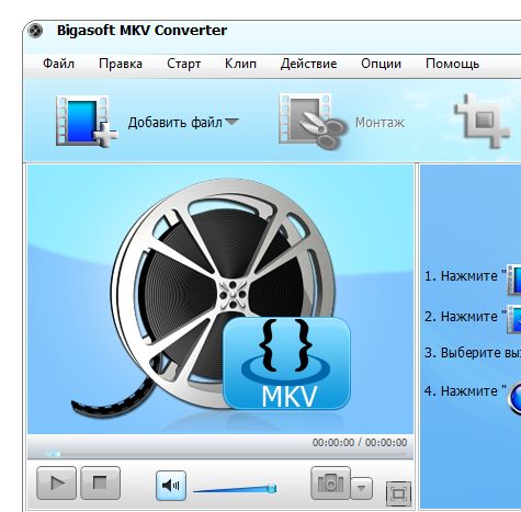 Bigasoft MKV Converter