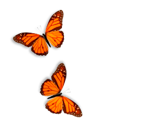 Butterfly On Desktop