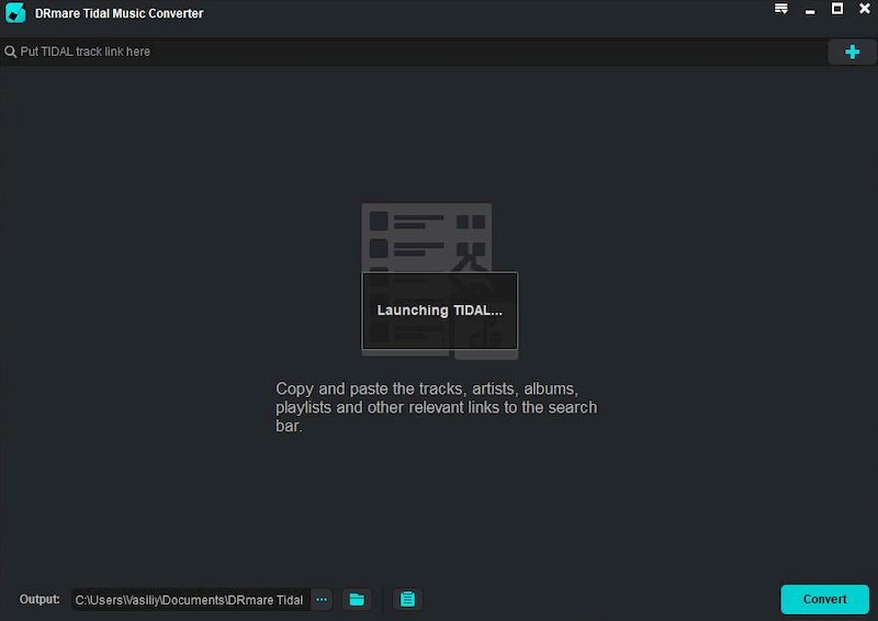 DRmare TidiKit Music Converter crack