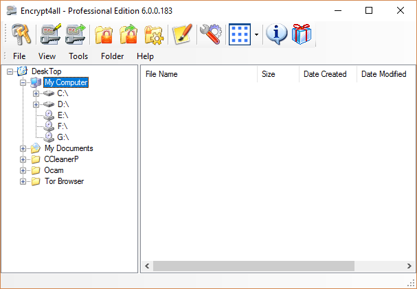 Encrypt4all Professional Edition 6.0.0.183