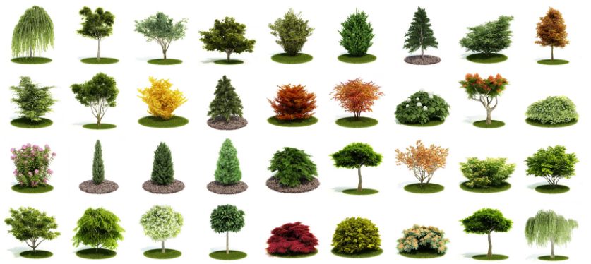 Evermotion Archmodels Vol 52