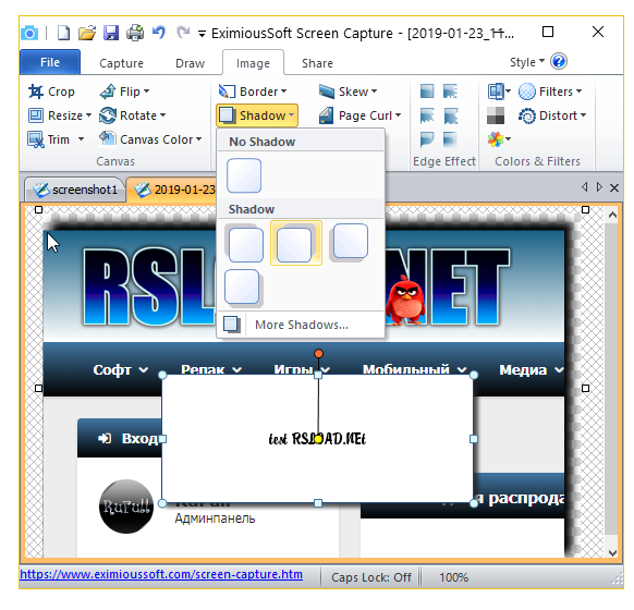 EximiousSoft Screen Capture бесплатно