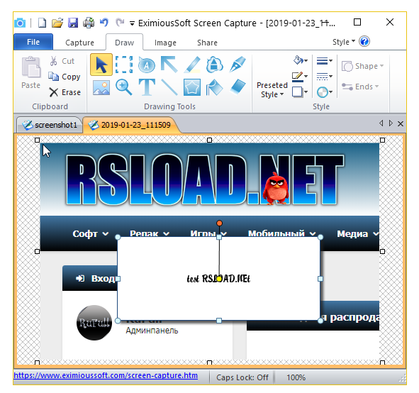 EximiousSoft Screen Capture скачать