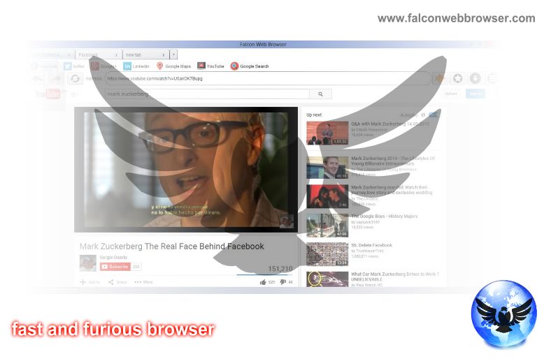 Falcon Browser