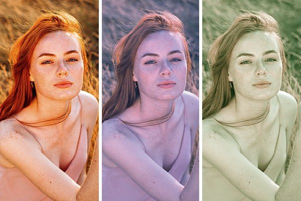 Franzis #2 professional Collection 4 in 1 x64 Rus + Eng Portable