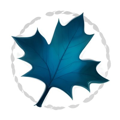 Maplesoft Maple Flow