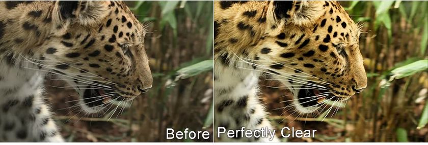 Perfectly Clear скачать