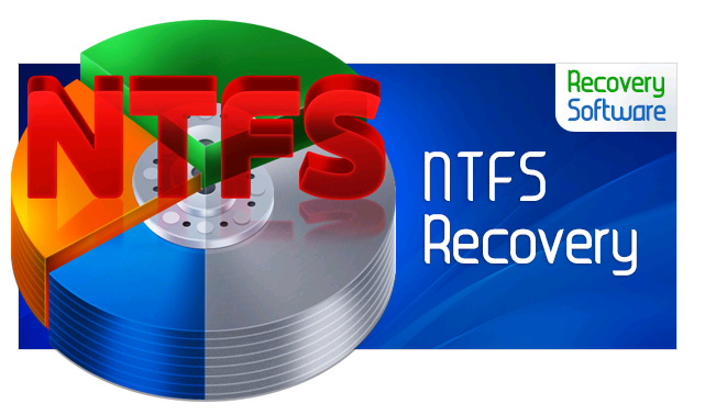 RS NTFS_FAT Recovery 4.8