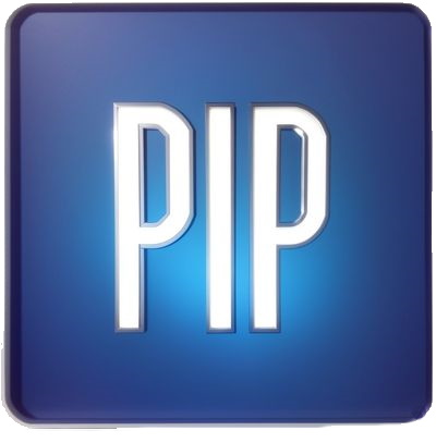 Schlumberger PIPESIM crack