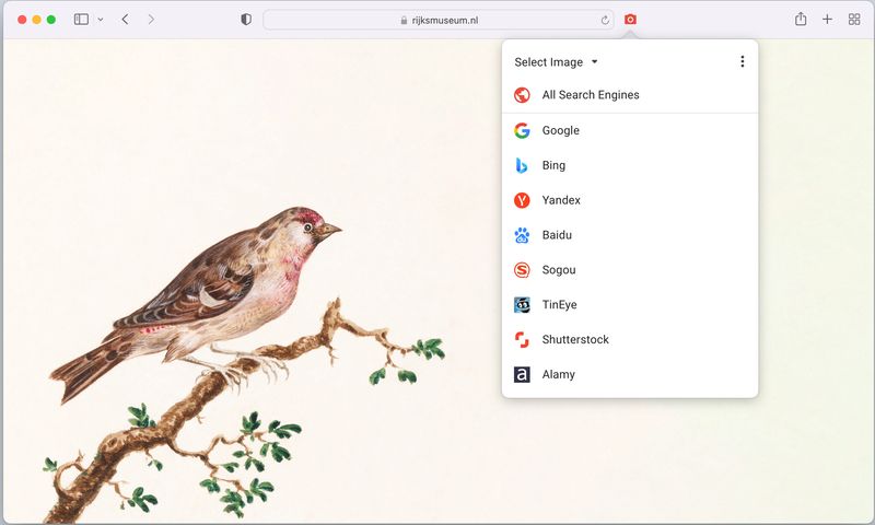 Search by Image Google Chrome