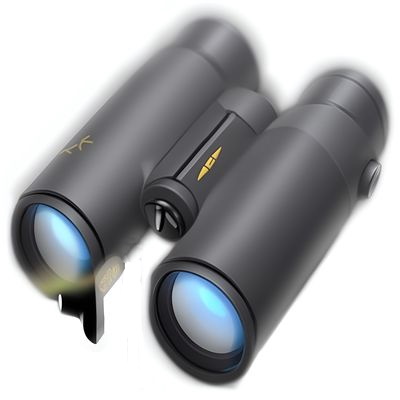 Shortcuts Search And Replace