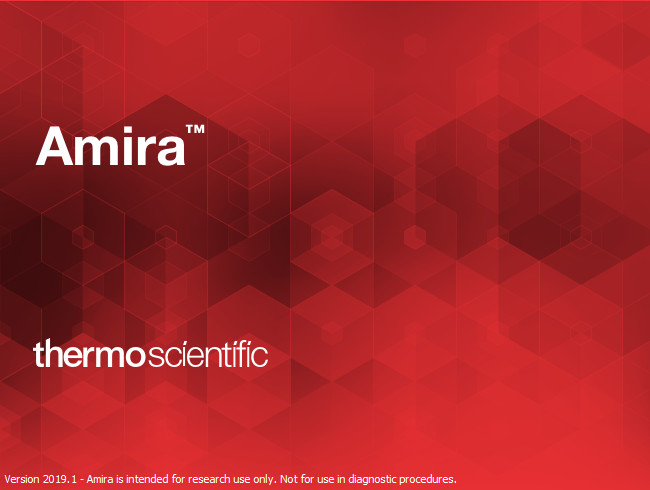 THERMOFISHER AMIRA