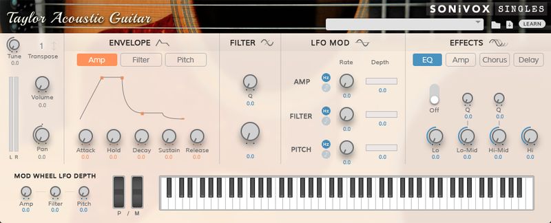 Taylor Acoustic Guitar