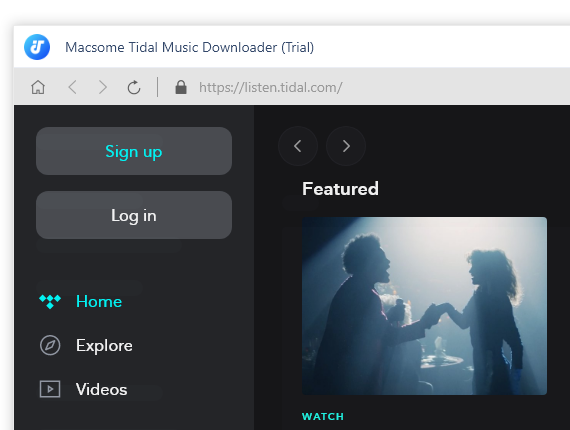 Tidal Music Downloader