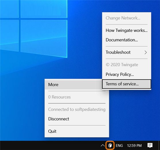 Twingate скачать бесплатно ключ