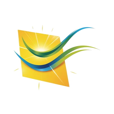 ViceVersa Pro + crack