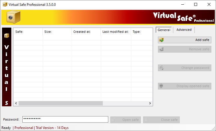 Virtual Safe Professional