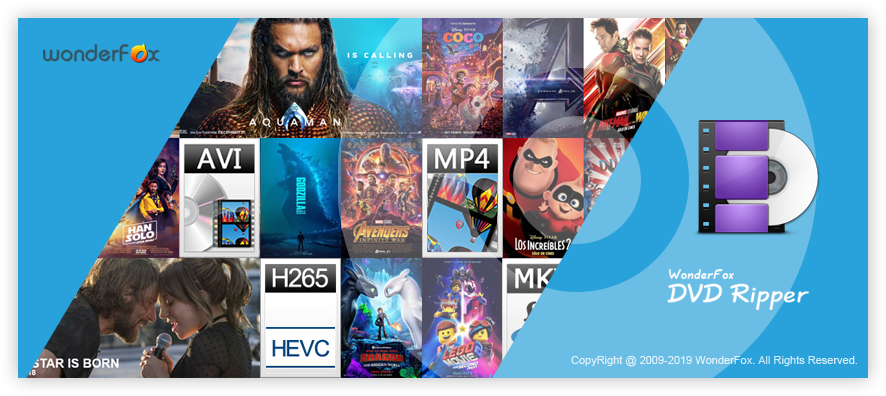 WonderFox DVD Ripper Speedy