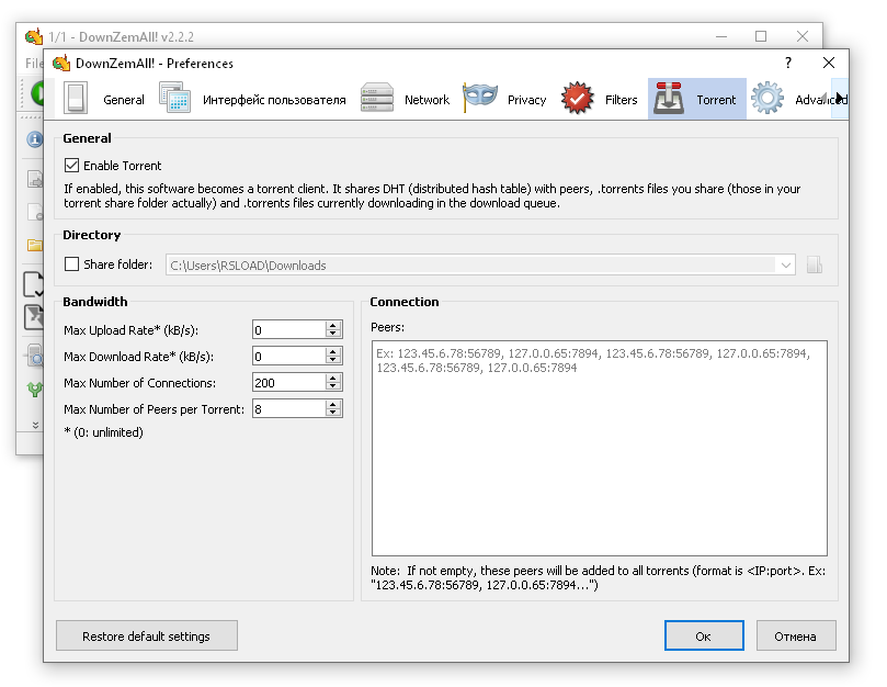 программа DownZemAll