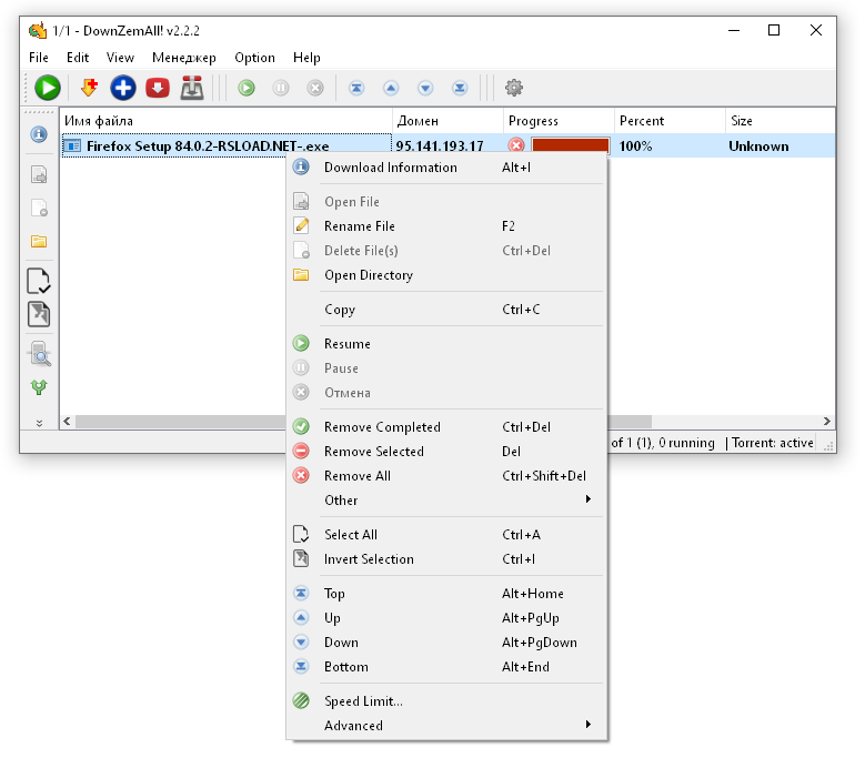 скачать DownZemAll
