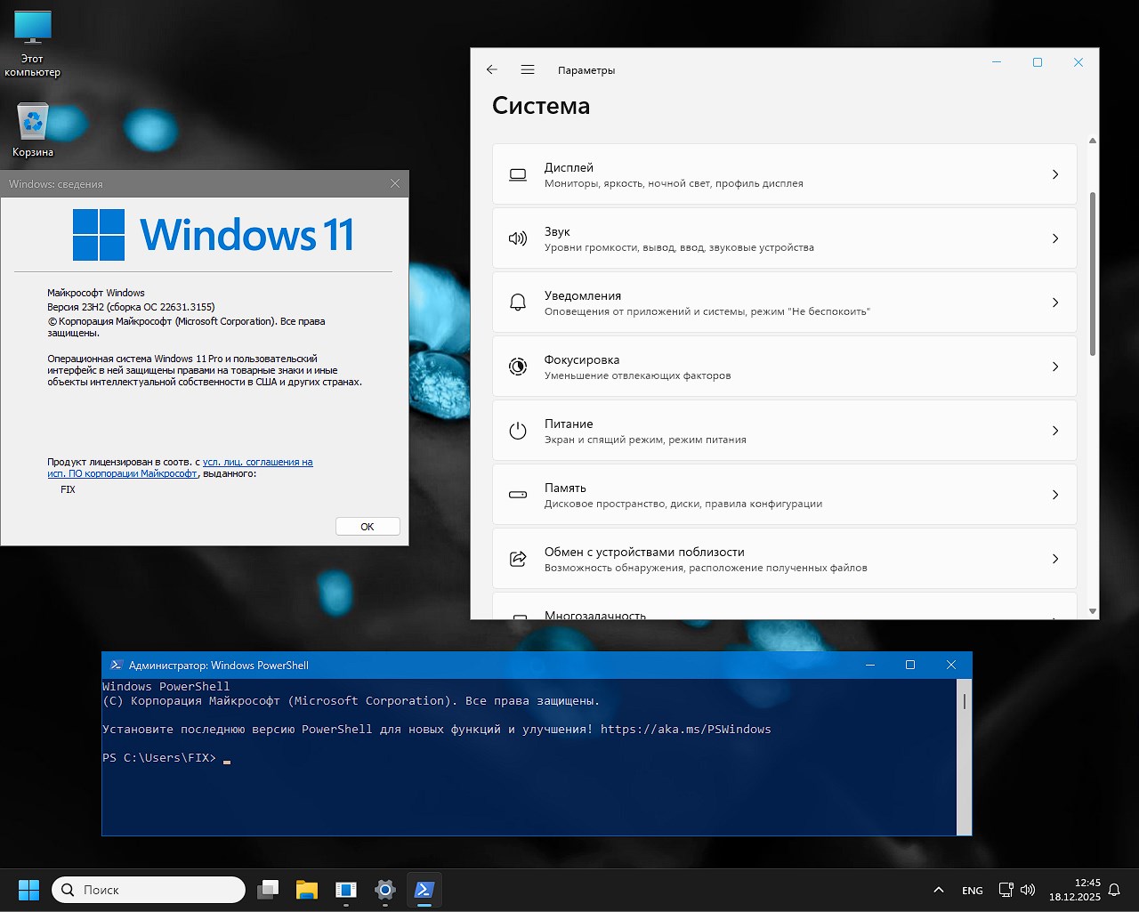 скачать Windows 11 23H2 64 22631.3155 Flibustier без торрент раздач